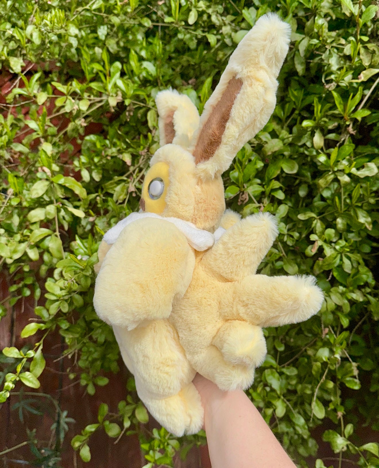 Jolteon ( Eevee evolution drop)