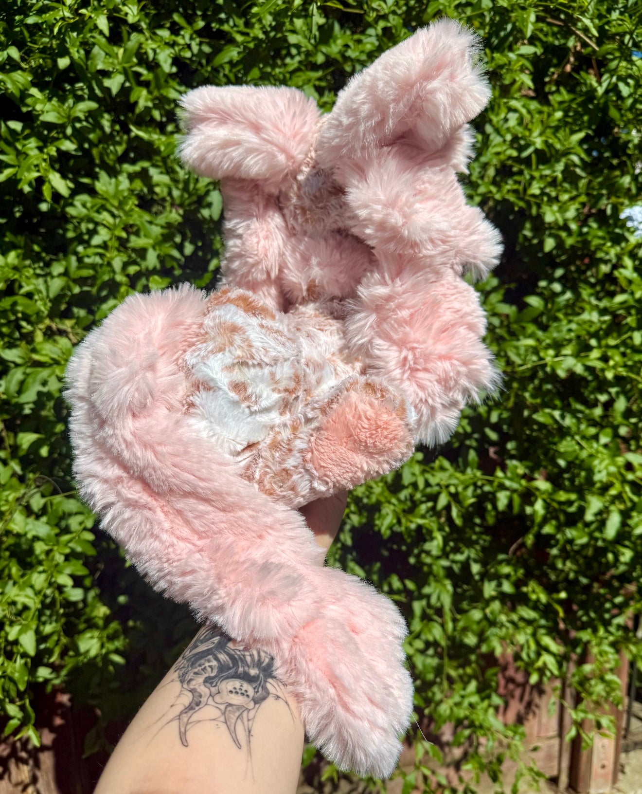 Blossom
