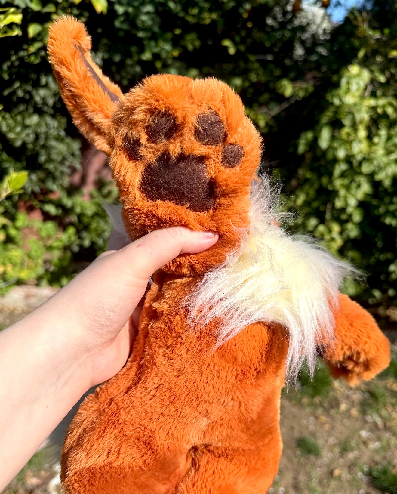 Flareon ( eevee evolution drop)