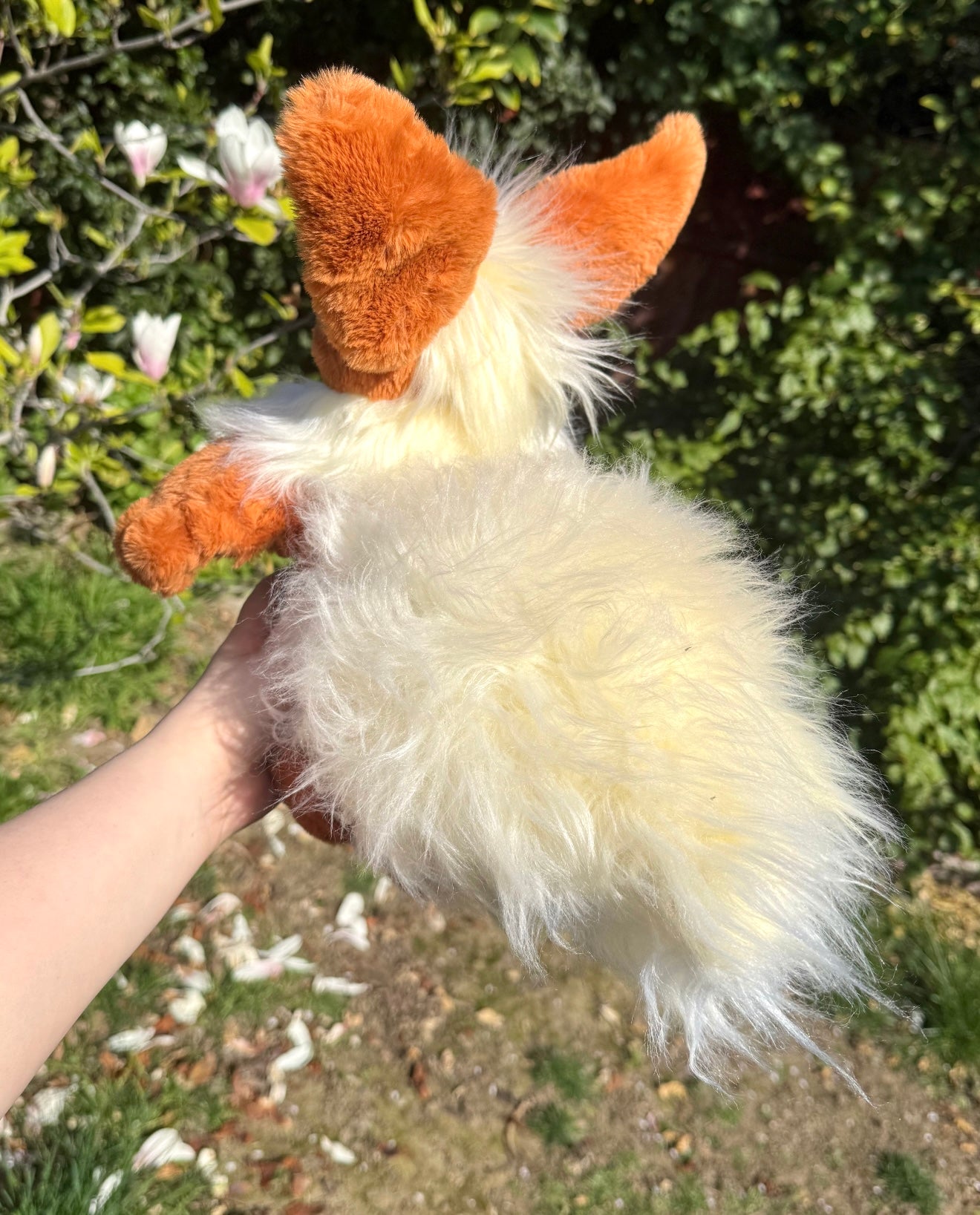 Flareon ( eevee evolution drop)