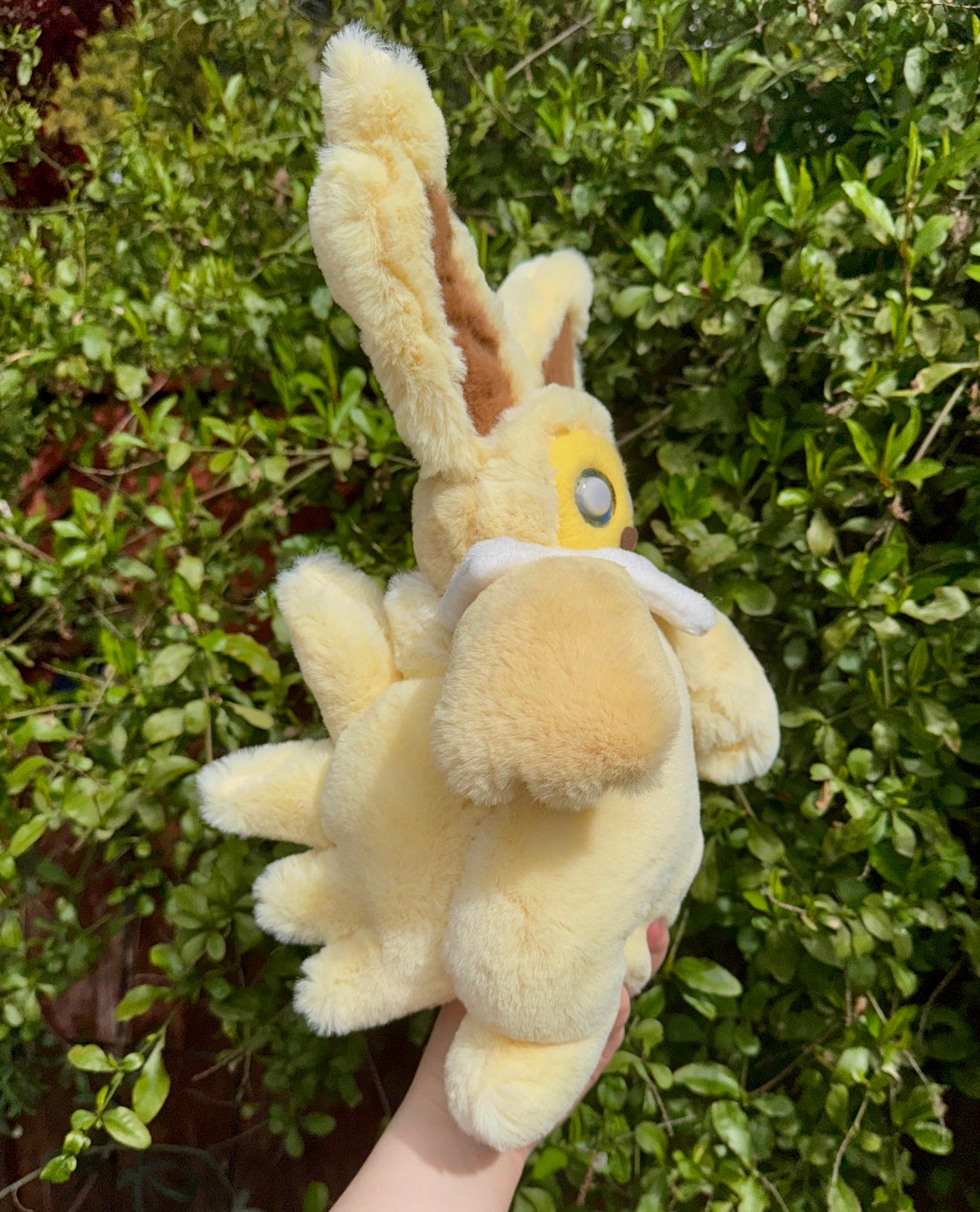 Jolteon ( Eevee evolution drop)