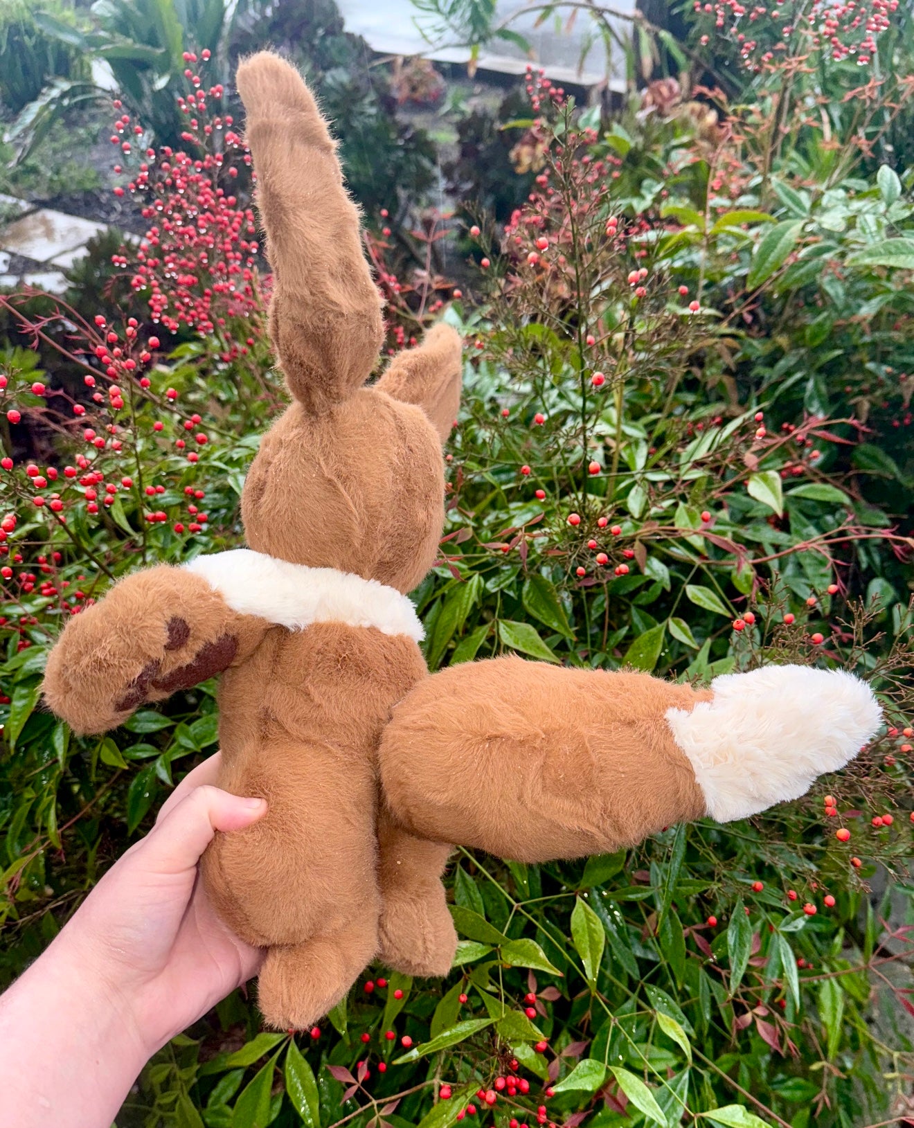 Eevee ( eevee evolution drop )