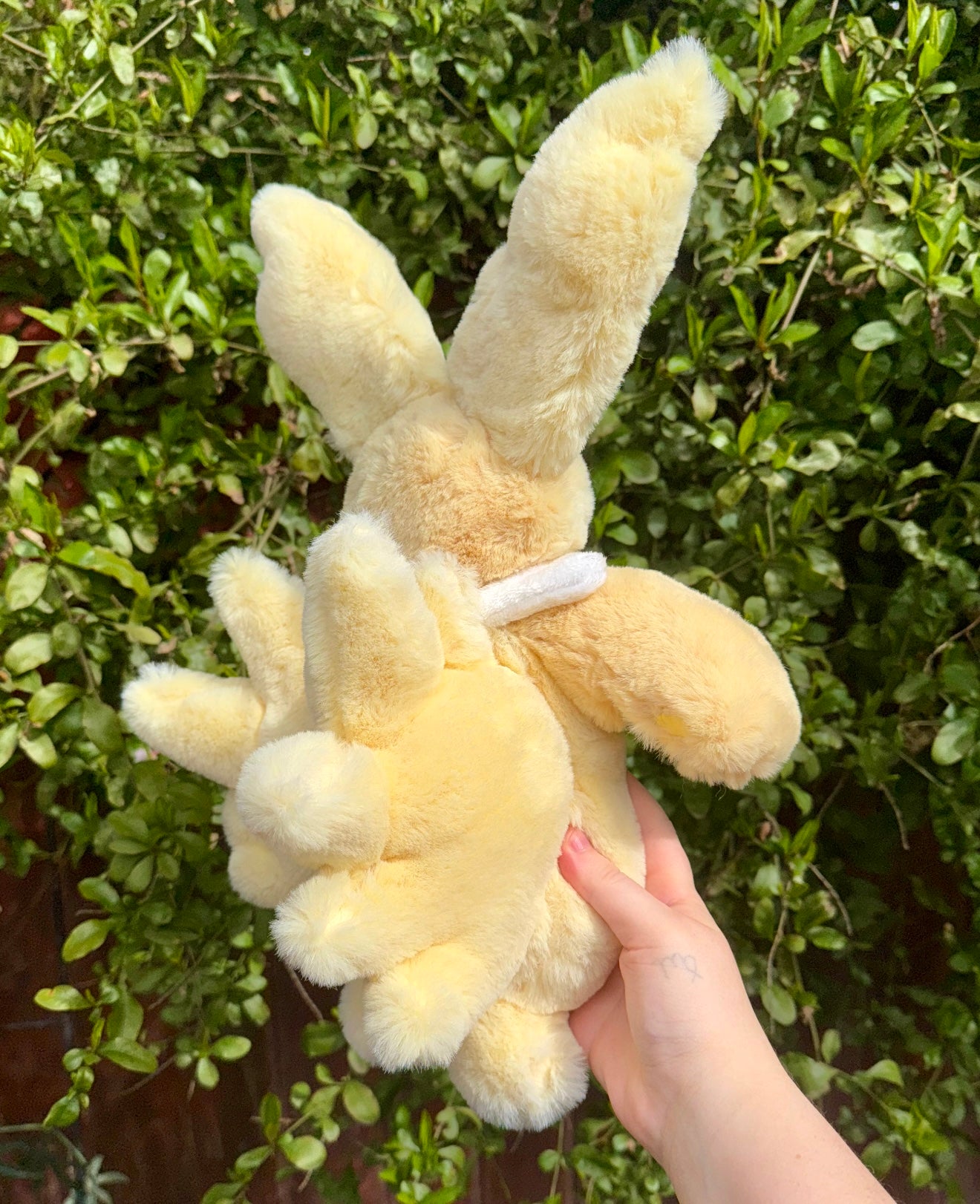 Jolteon ( Eevee evolution drop)