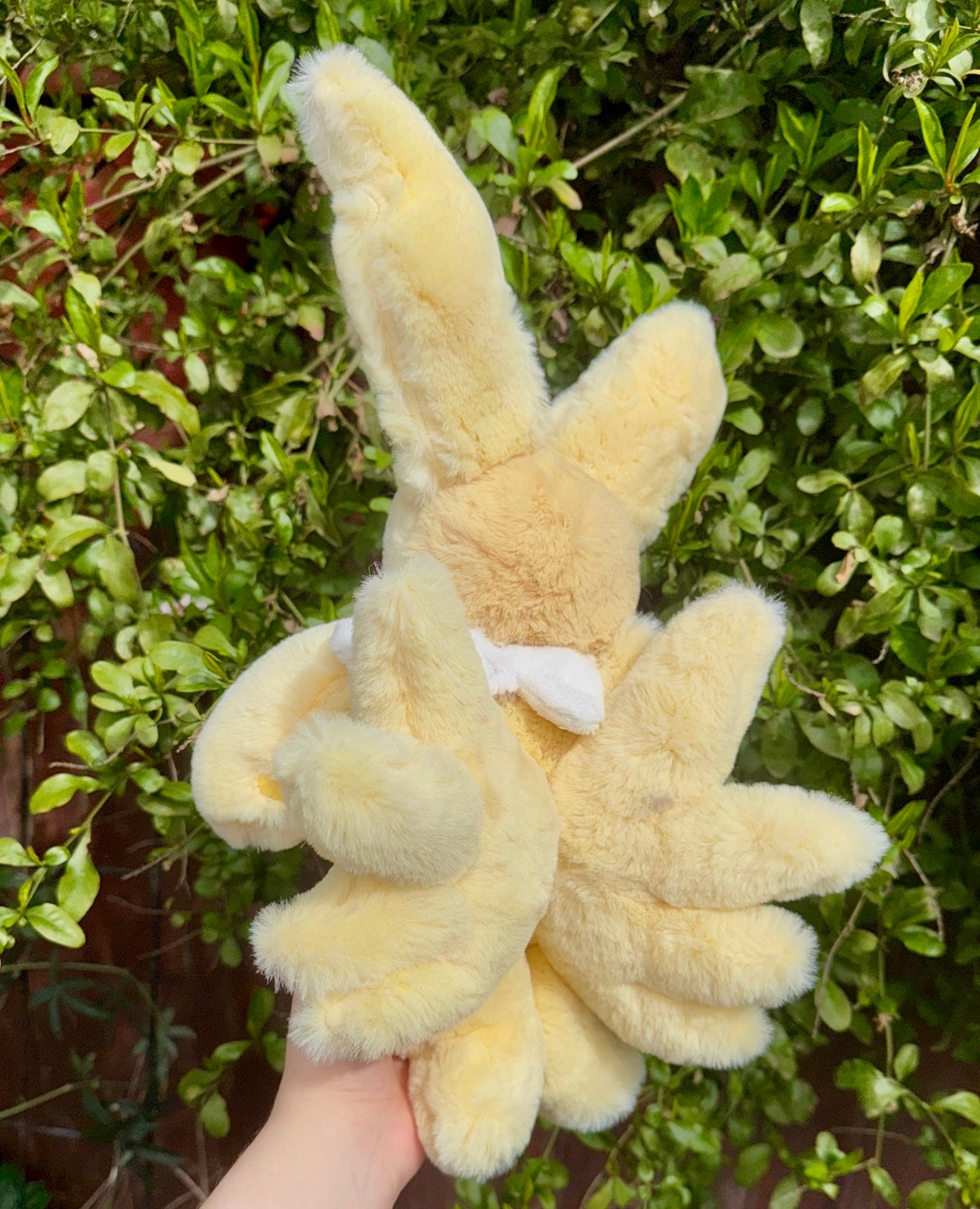 Jolteon ( Eevee evolution drop)