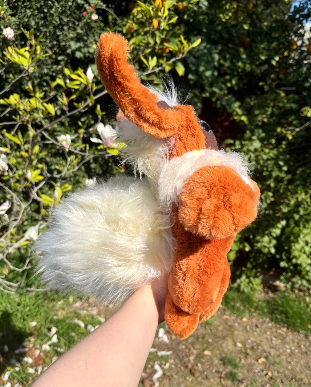 Flareon ( eevee evolution drop)