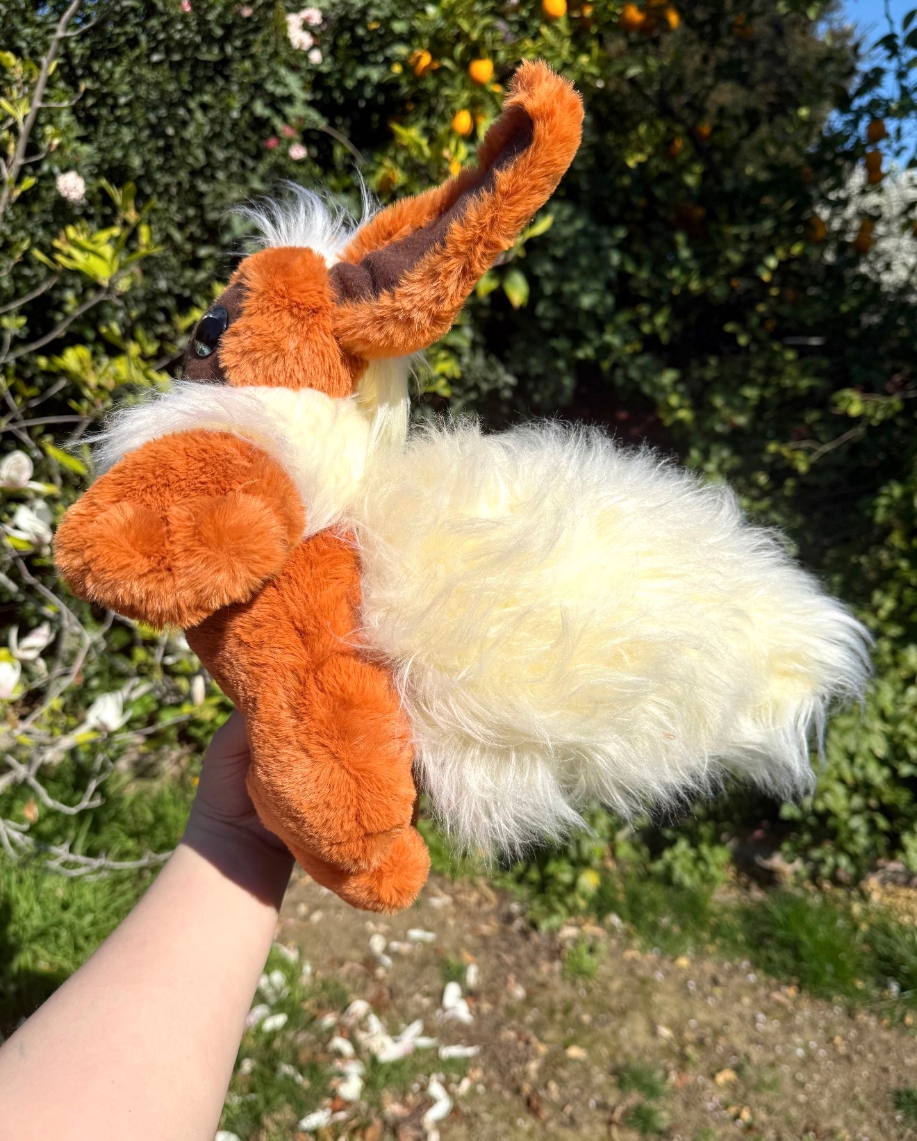 Flareon ( eevee evolution drop)
