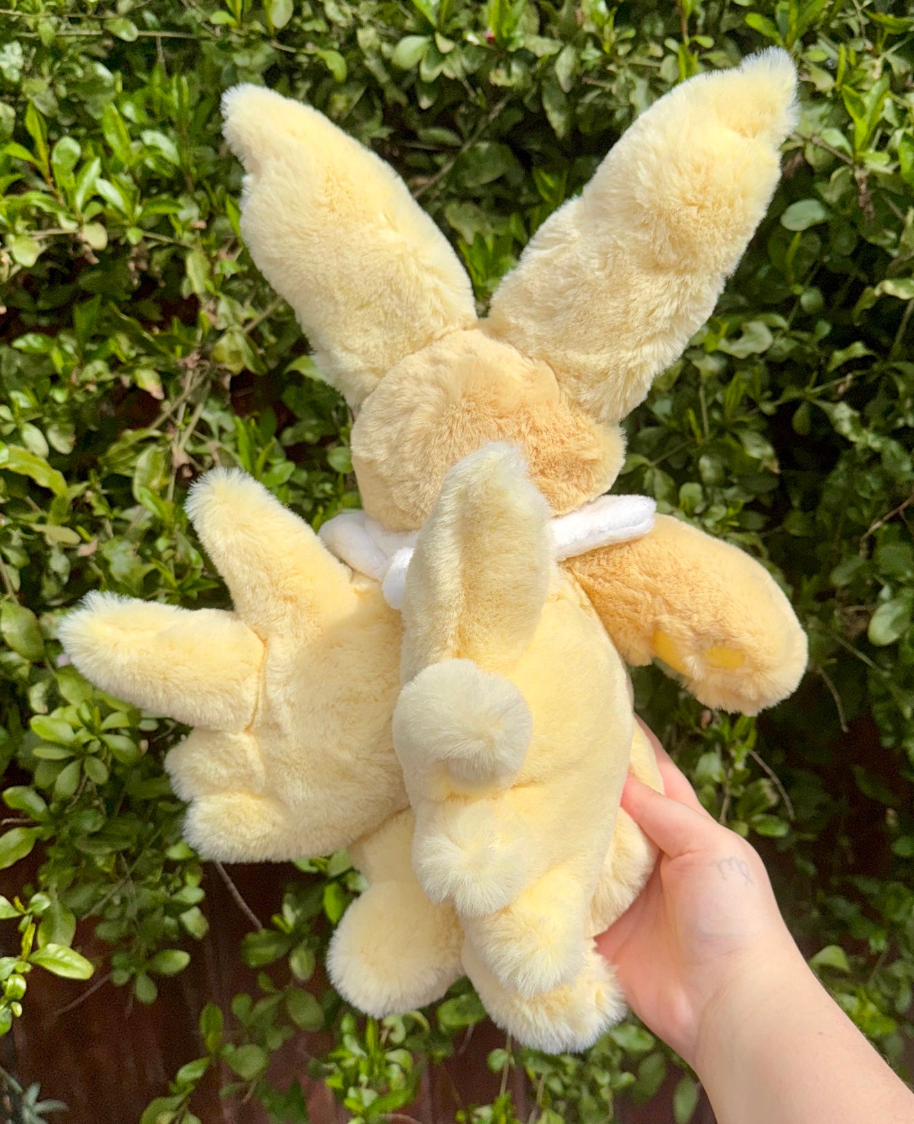 Jolteon ( Eevee evolution drop)