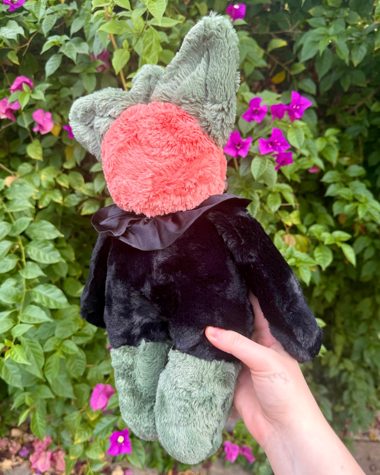 Jack the pumpkin cat *spooky drop*