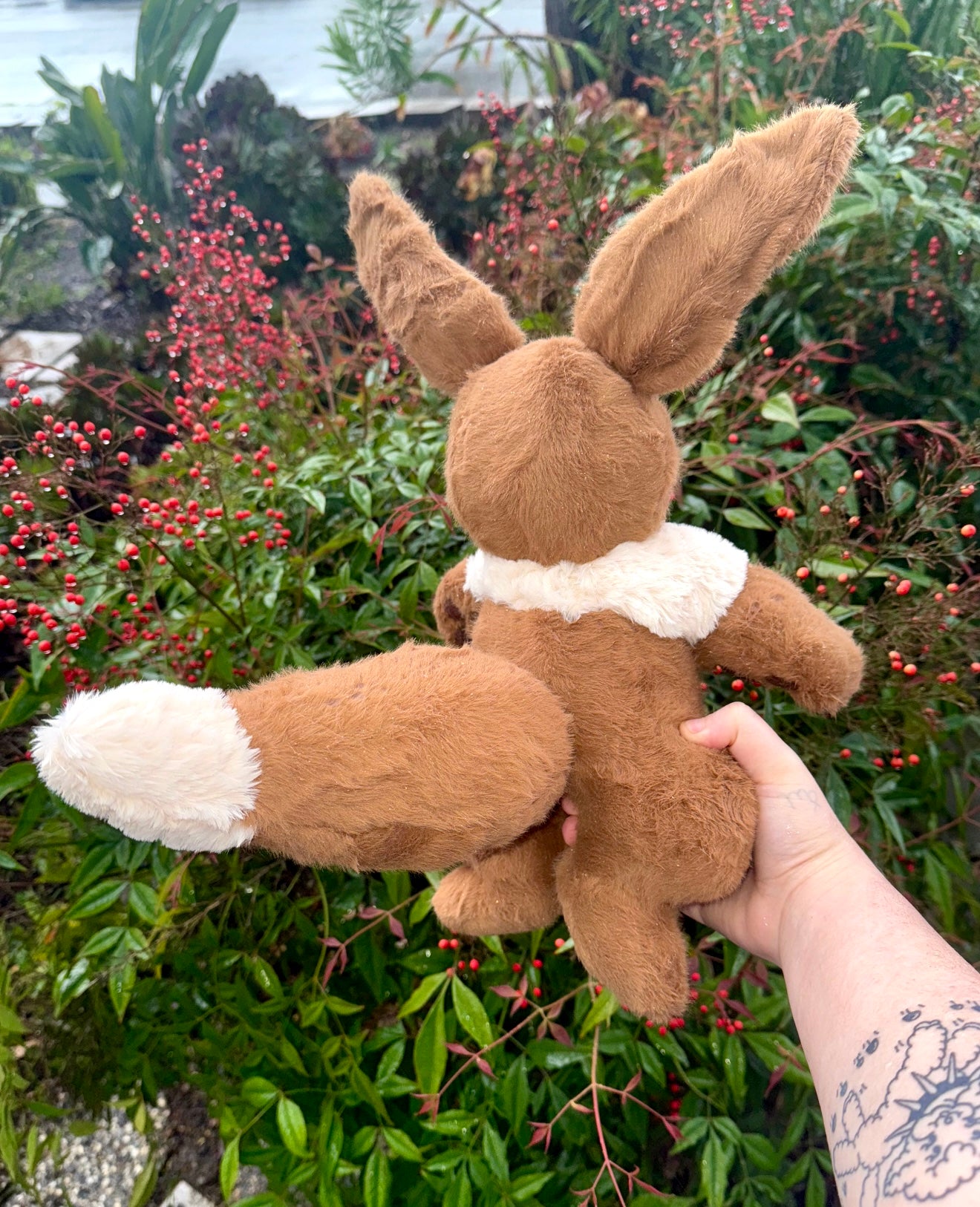 Eevee ( eevee evolution drop )