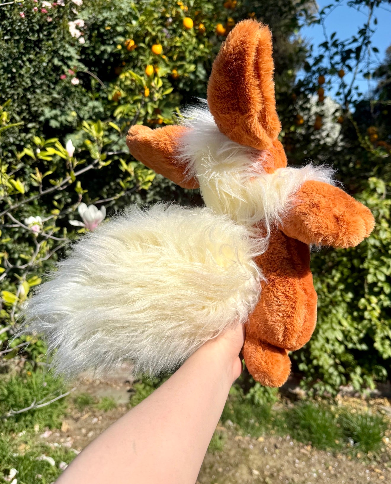 Flareon ( eevee evolution drop)