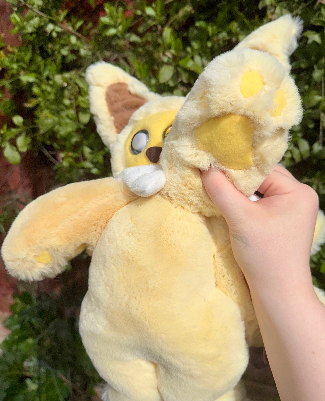 Jolteon ( Eevee evolution drop)