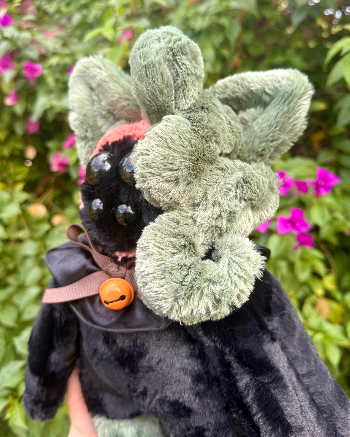 Jack the pumpkin cat *spooky drop*