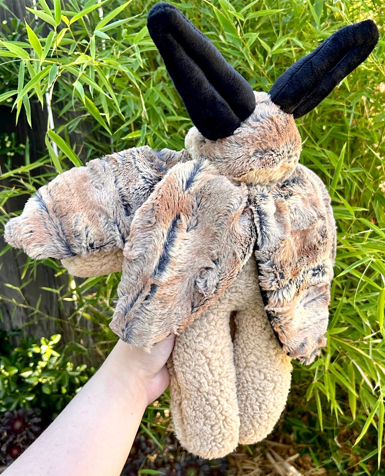 Cinna ( moth plushie )