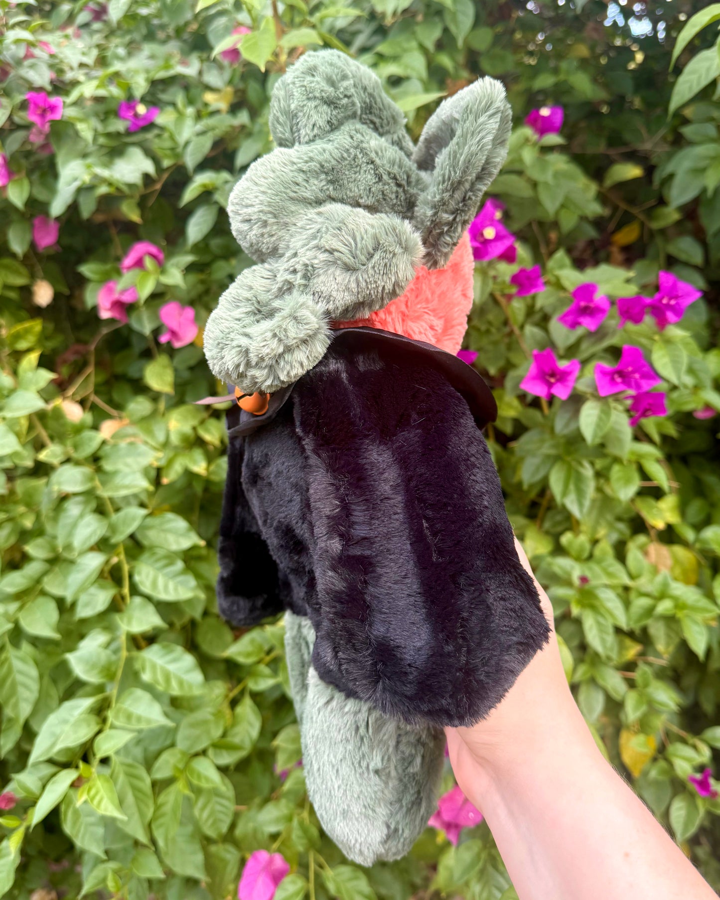 Jack the pumpkin cat *spooky drop*