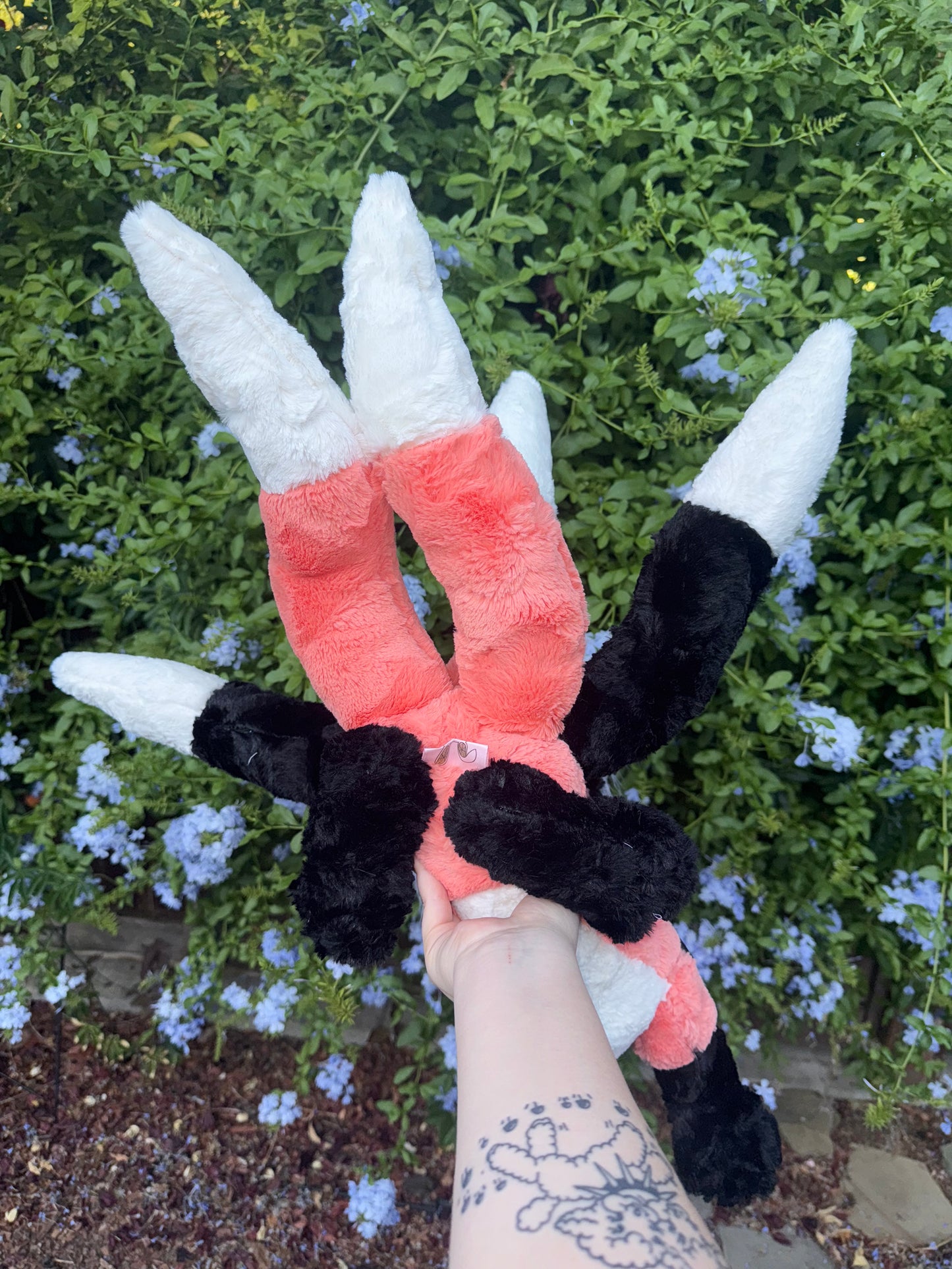 Yako ( kitsune fox demon )