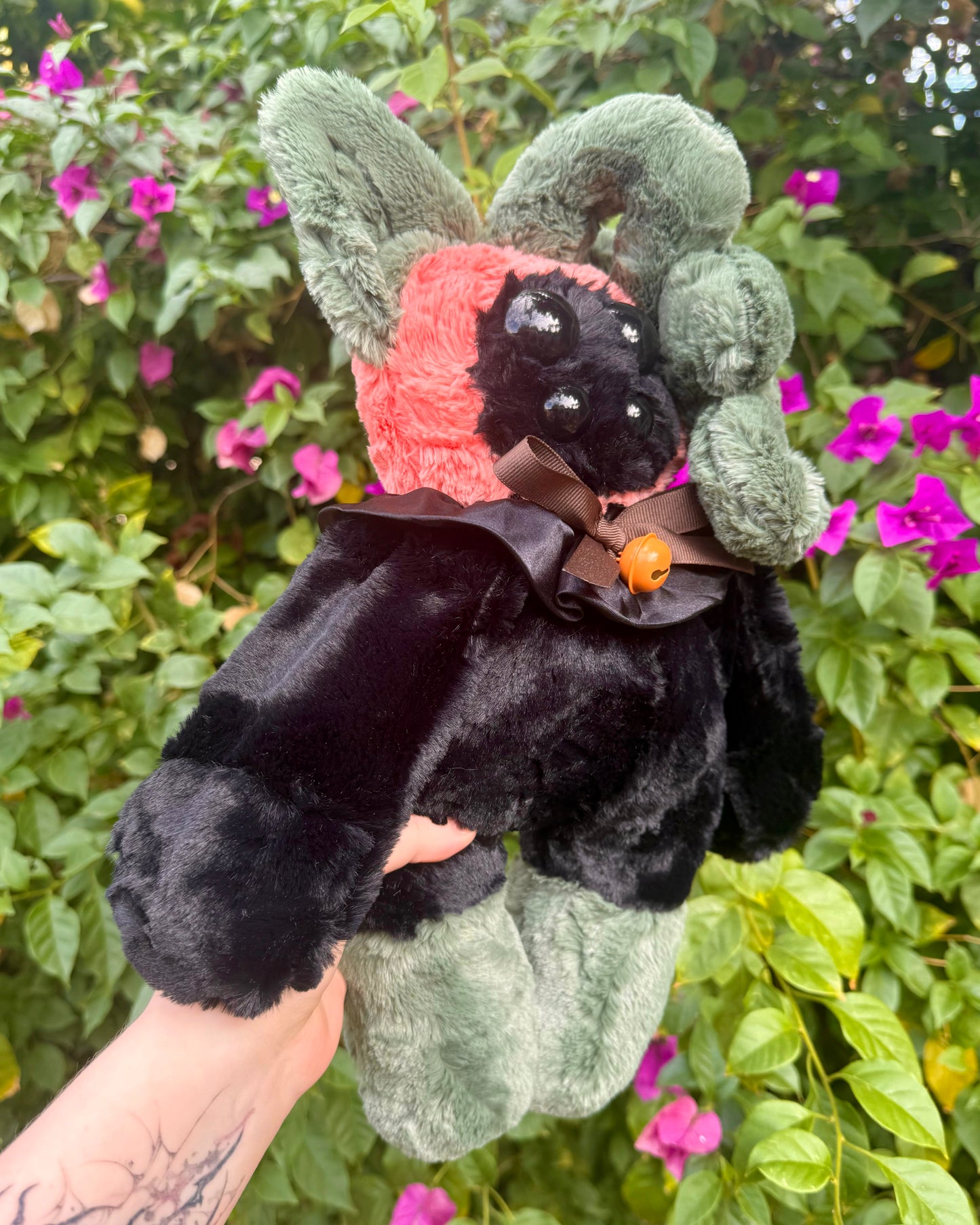 Jack the pumpkin cat *spooky drop*