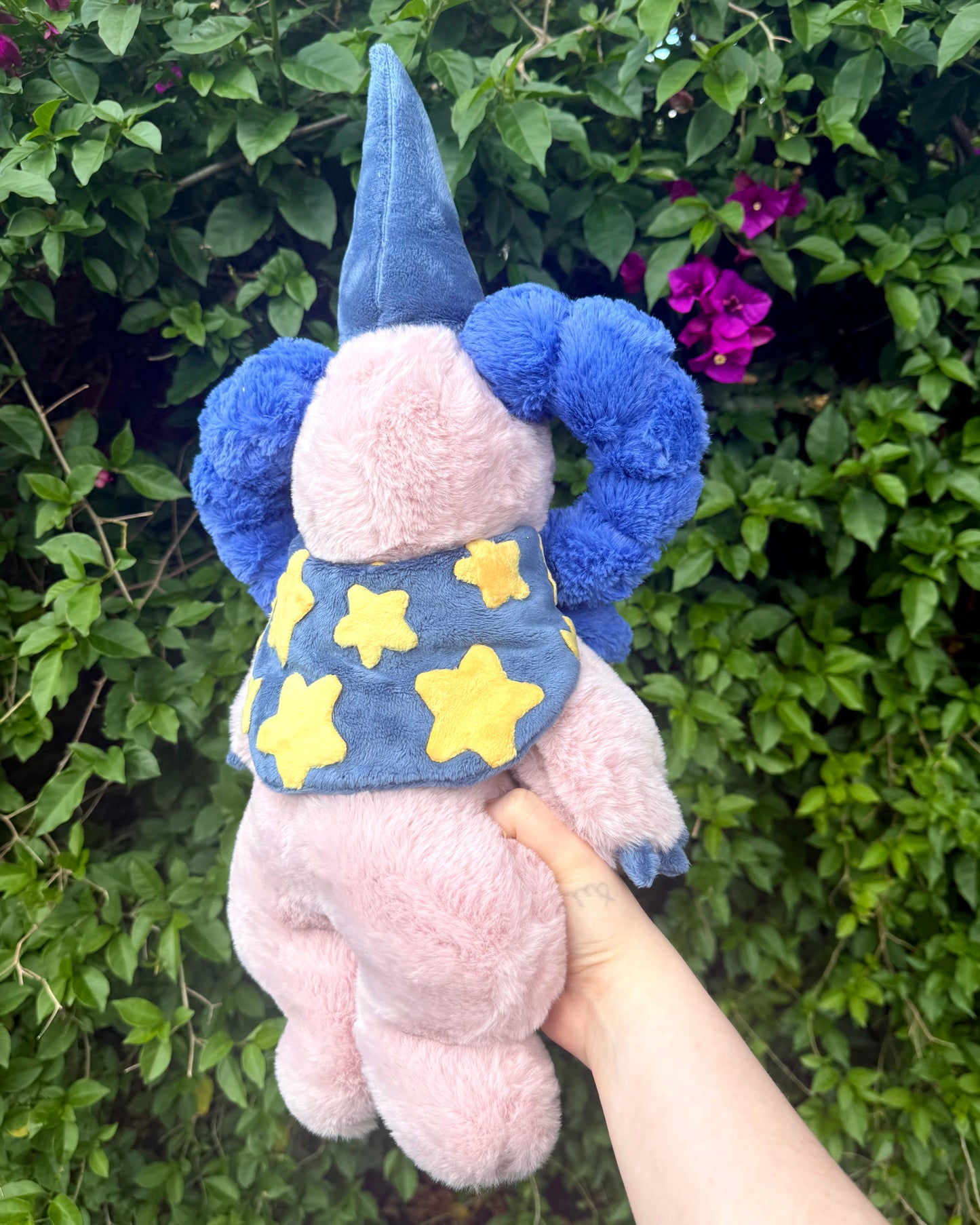 Vixi the wizard