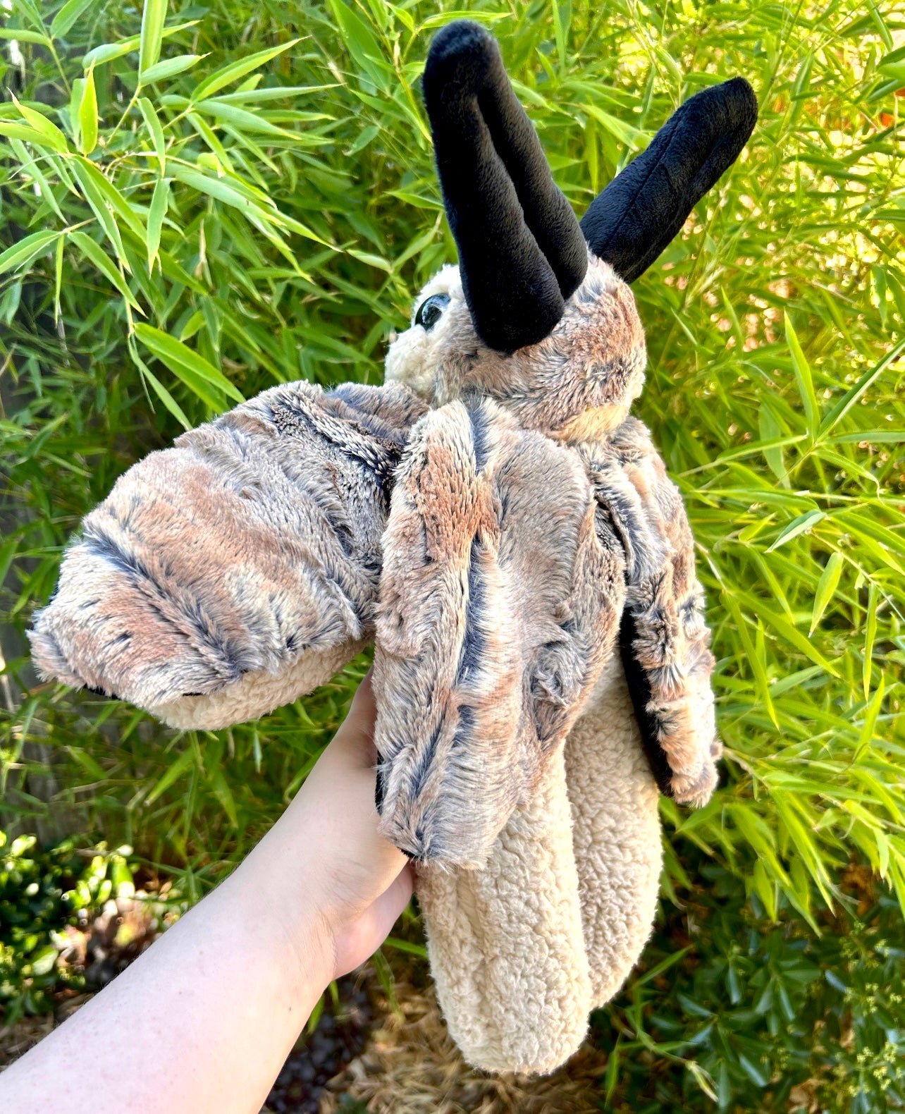 Cinna ( moth plushie )