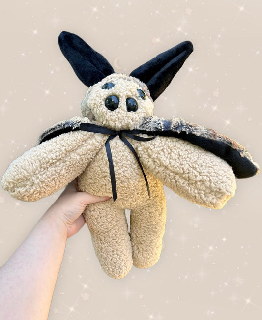 Cinna ( moth plushie )