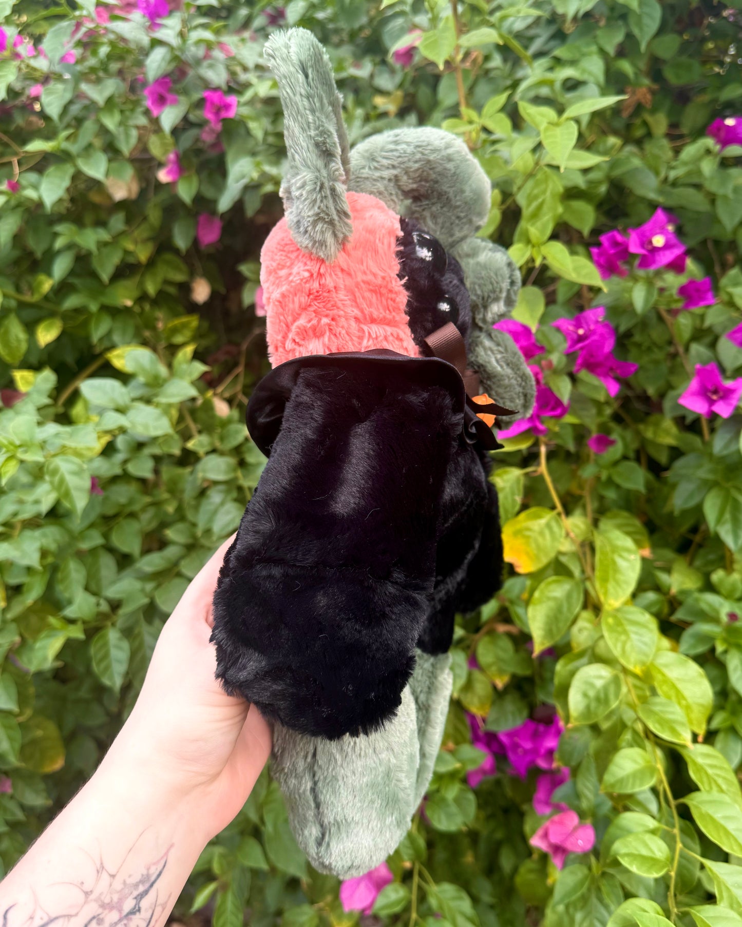 Jack the pumpkin cat *spooky drop*