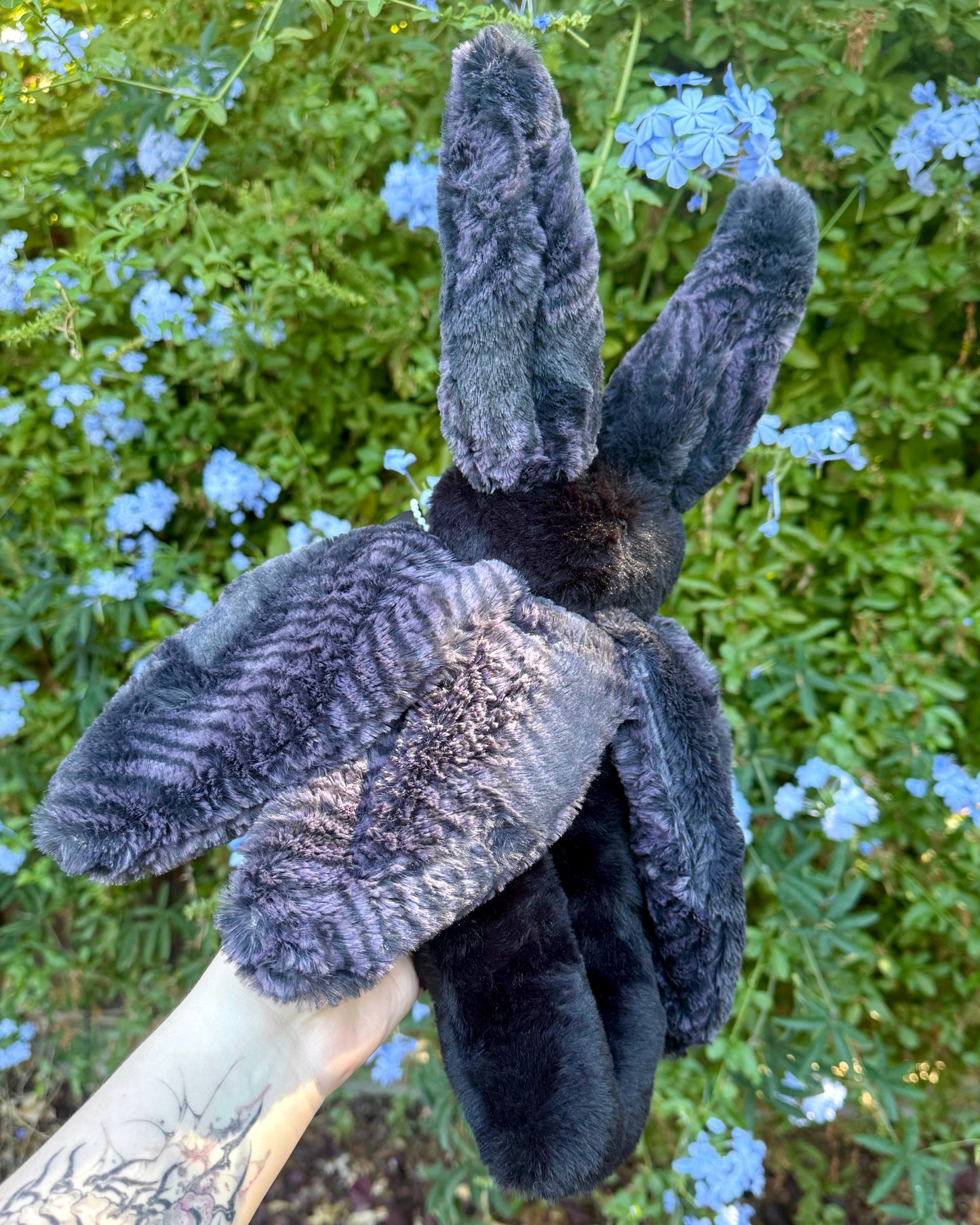 Onyx ( moth plushie ) *spooky drop *