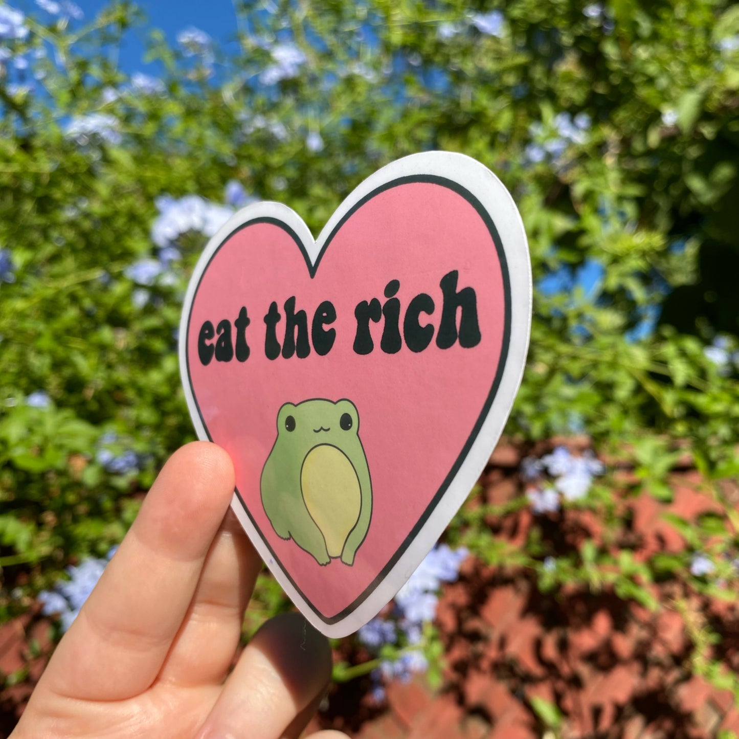 EAT THE RITCH ( frog sticker )