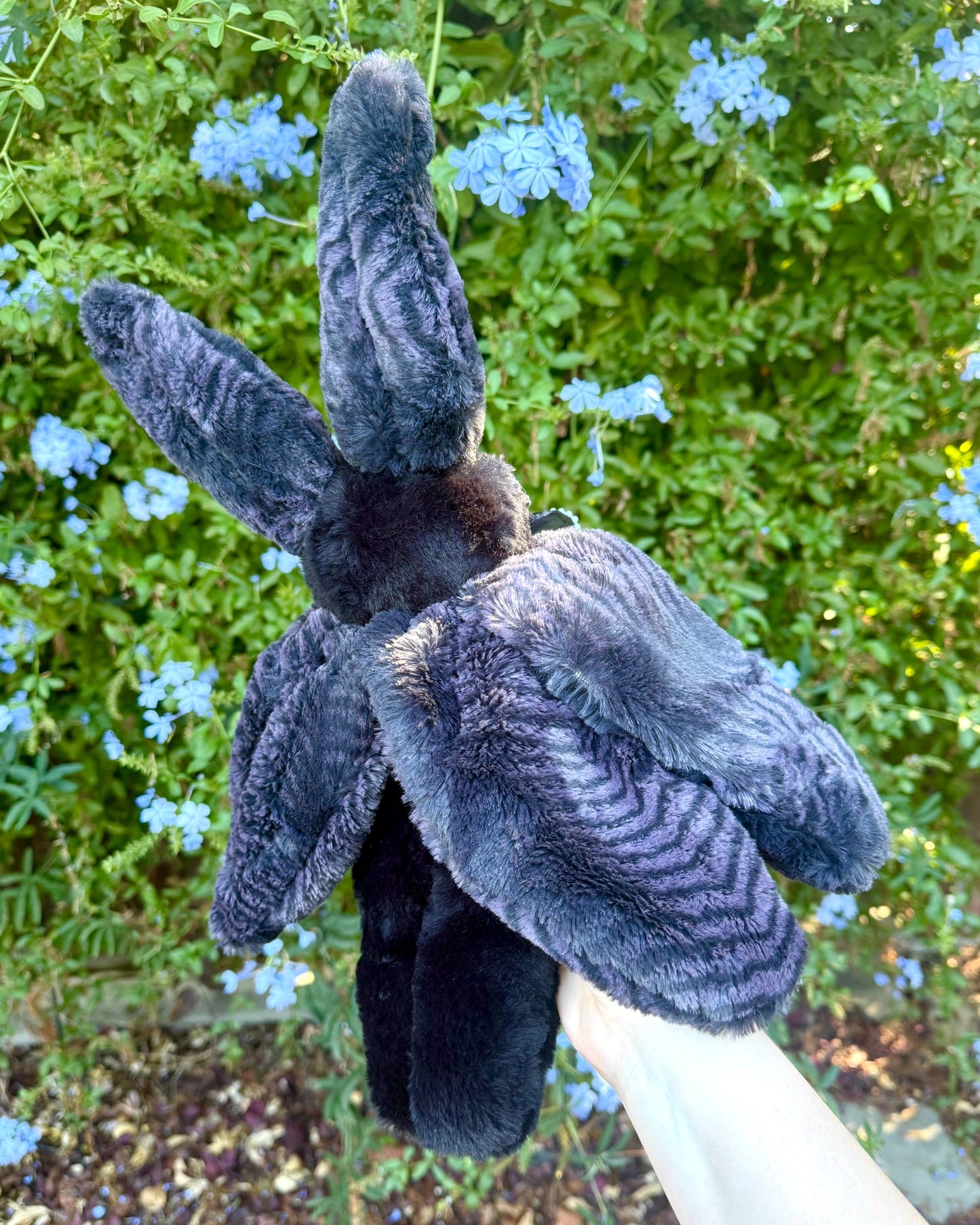 Onyx ( moth plushie ) *spooky drop *