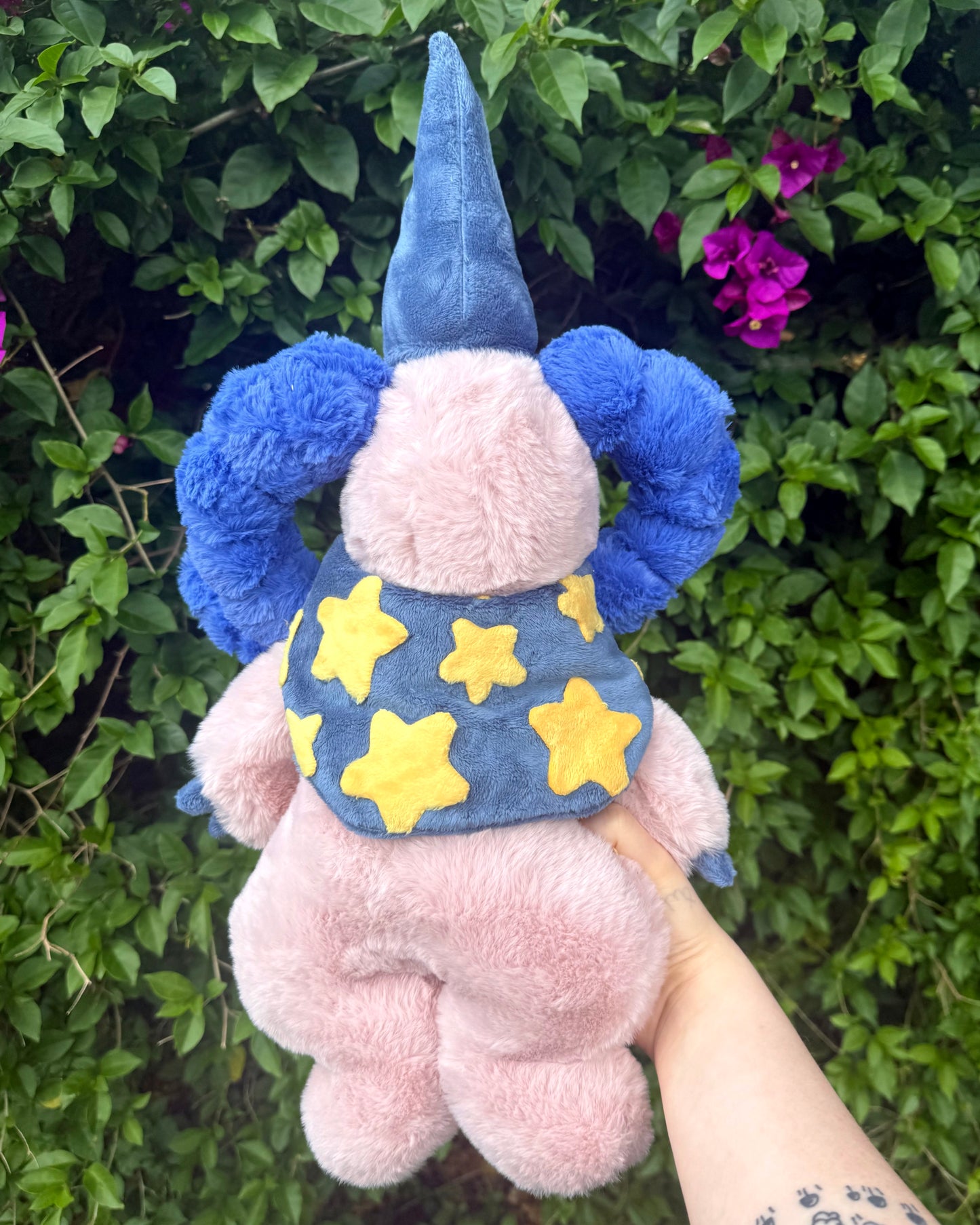 Vixi the wizard