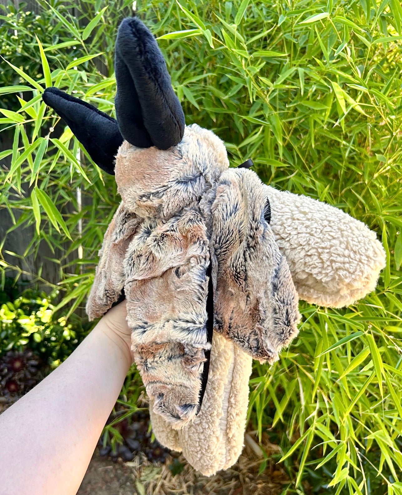 Cinna ( moth plushie )